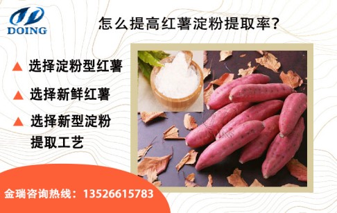 紅薯出淀粉率是多少？怎么提高紅薯出淀粉率？