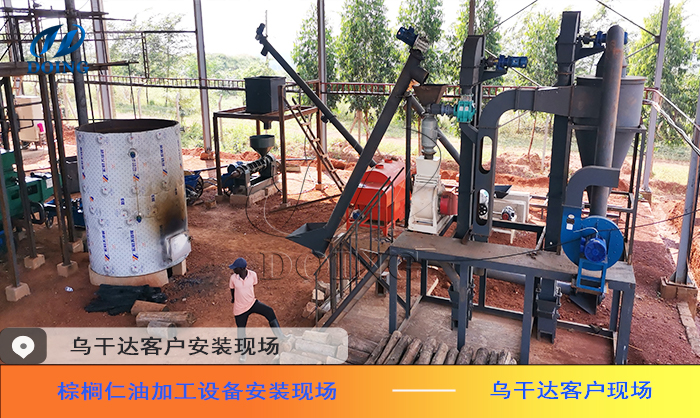 棕櫚仁油加工設(shè)備.jpg