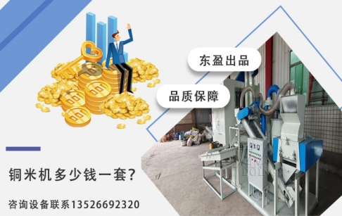 銅米機(jī)多少錢一套？