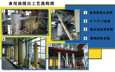 浸出法制油的工作原理和工藝流程介紹