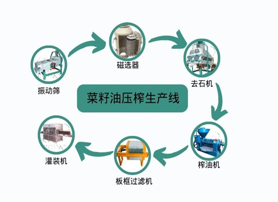 菜籽油加工過程中,哪些措施可以提高菜籽油的出油率?