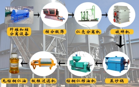棕櫚仁專用榨油機出油率高嗎？如何選擇棕櫚仁油壓榨設(shè)備？