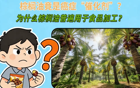 棕櫚油