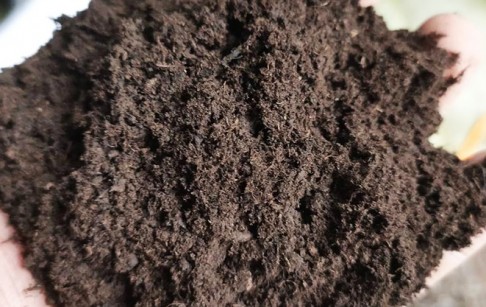炭化出來(lái)的木炭粉如何深加工？三大方向提升產(chǎn)品附加值